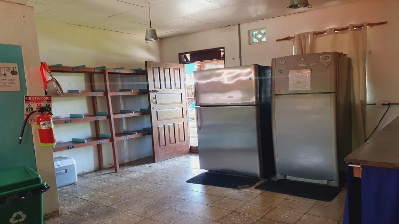 Cabinas Palmer Makanda 까위따 외부 사진
