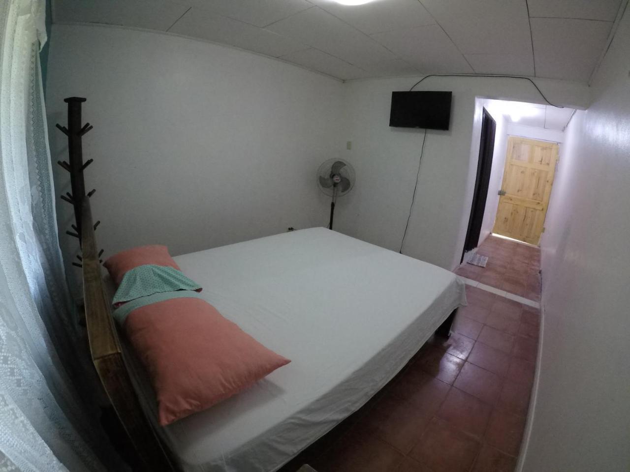 Cabinas Palmer Makanda 까위따 외부 사진
